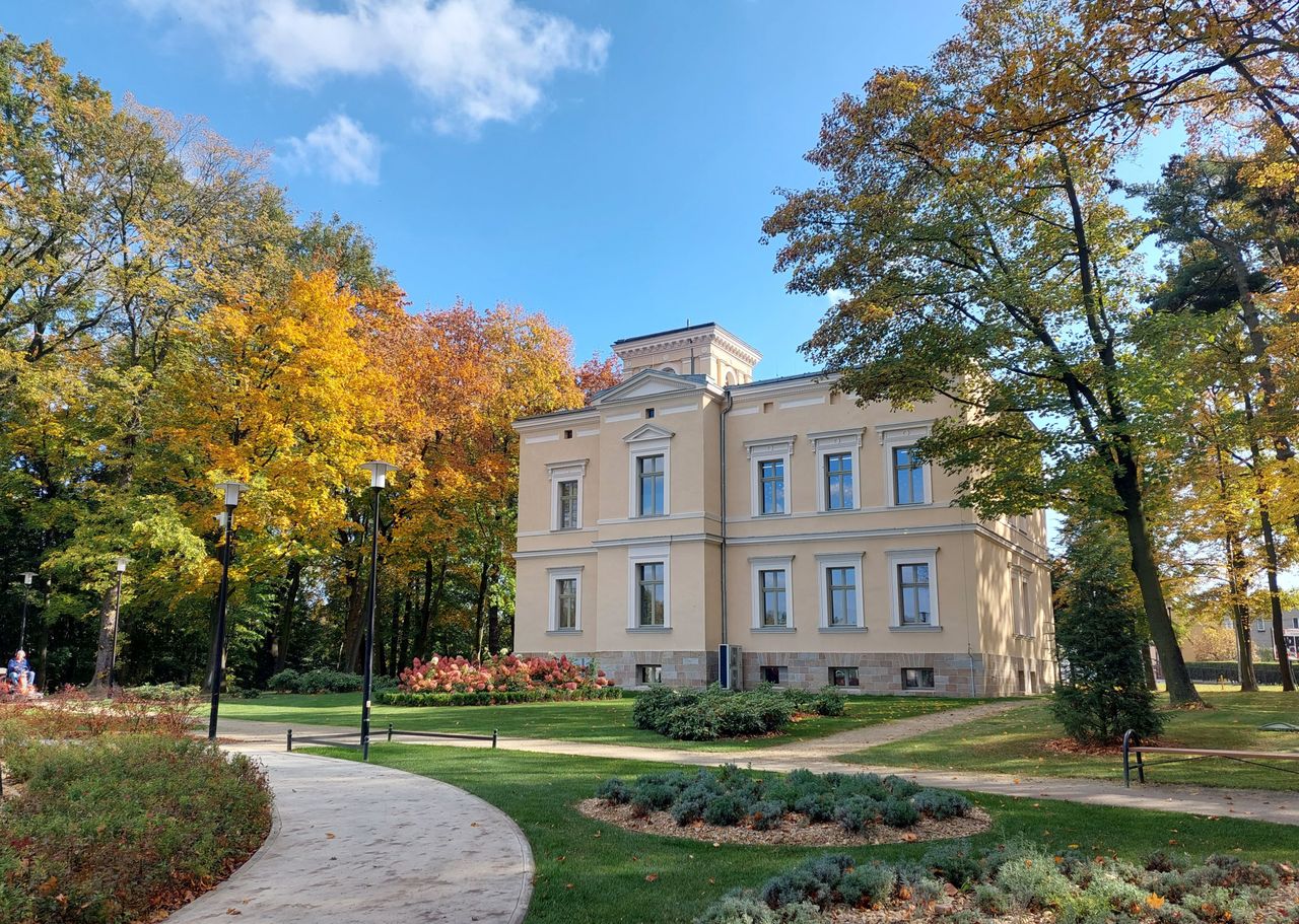 Zamek w Leszczynach dzwoni. Odbierz i posłuchaj historii wyjątkowego miejsca