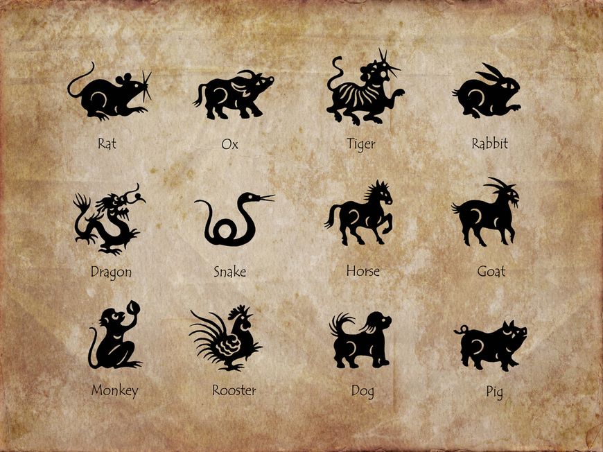 Szczur w jest Chińskim horoskopie jest urodzonym przywódcą