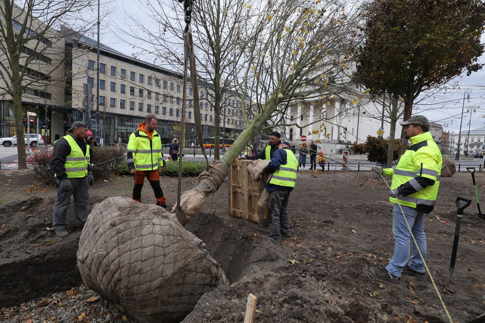 Do końca tygodnia zakończą się nasadzenia