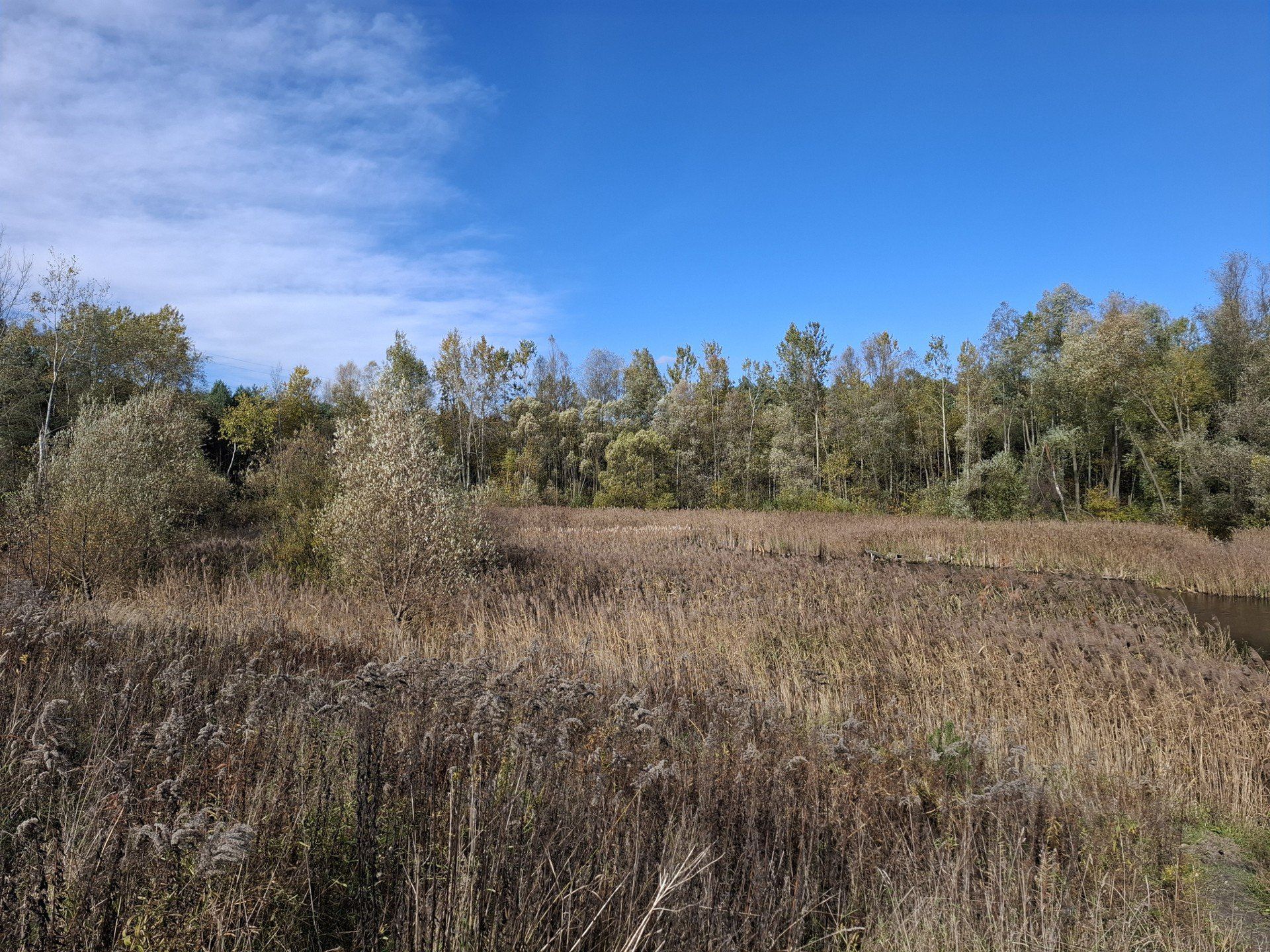 Las Zagórski w jesiennej oprawie