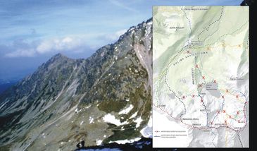 Tatry. Zamknięte szlaki. Niedźwiedzica wyprowadza młode