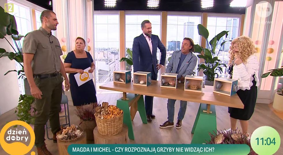 Żarty o "MACANIU GRZYBA" w "DDTVN"