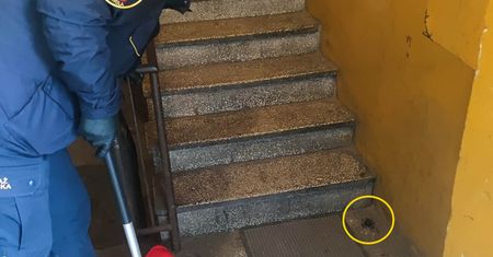 Wyglądał na jadowitego. Zorientowali się, kiedy podeszli bliżej