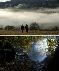 "Wataha": Nowy serial już jest hitem?