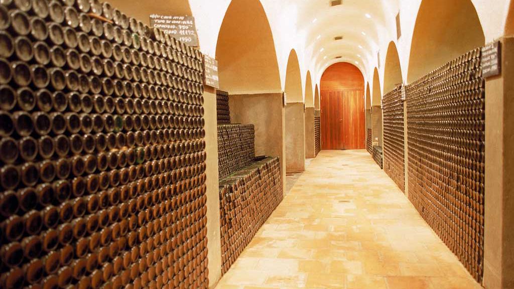 Elektroniczny język rozpoznaje wino 1