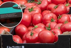 "Polskie" pomidory, ale prosto z Holandii. Sieć tłumaczy i przeprasza