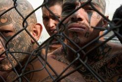 10 najgroźniejszych gangów na świecie