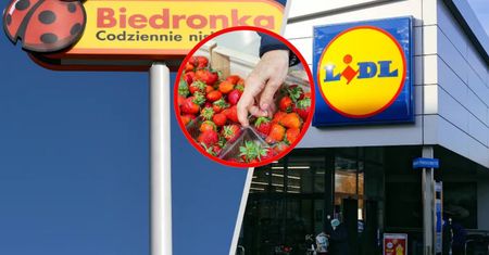 Pokazali, co jest w truskawkach z Lidla i Biedronki. Mamy odpowiedź sieci