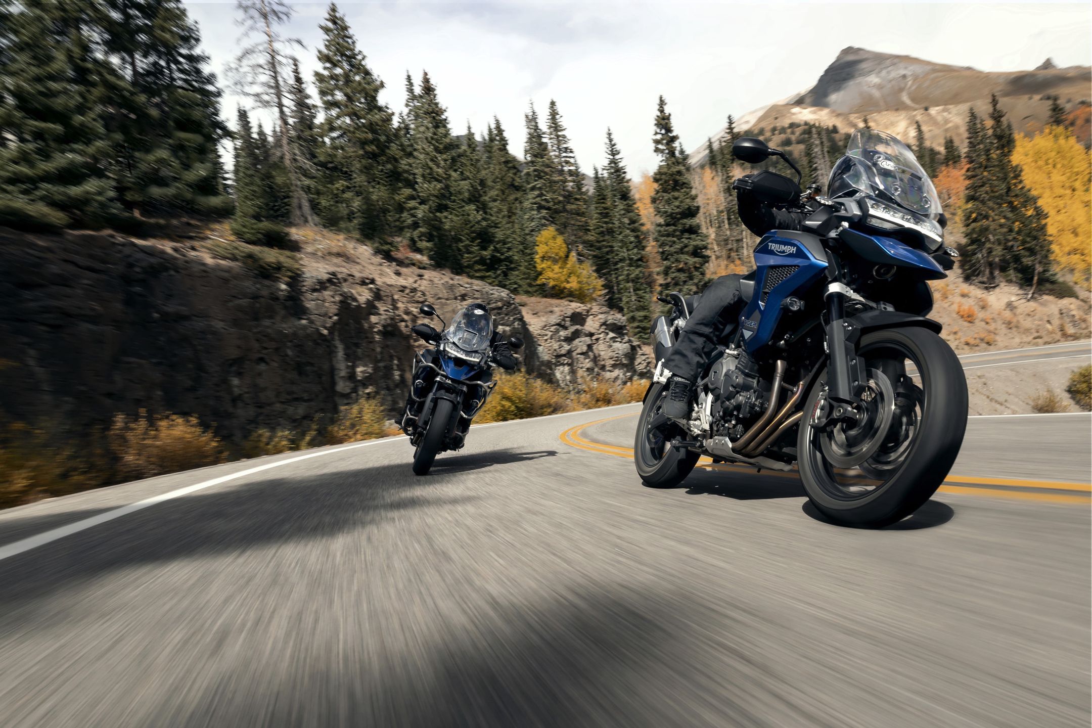 Triumph Tiger 1200