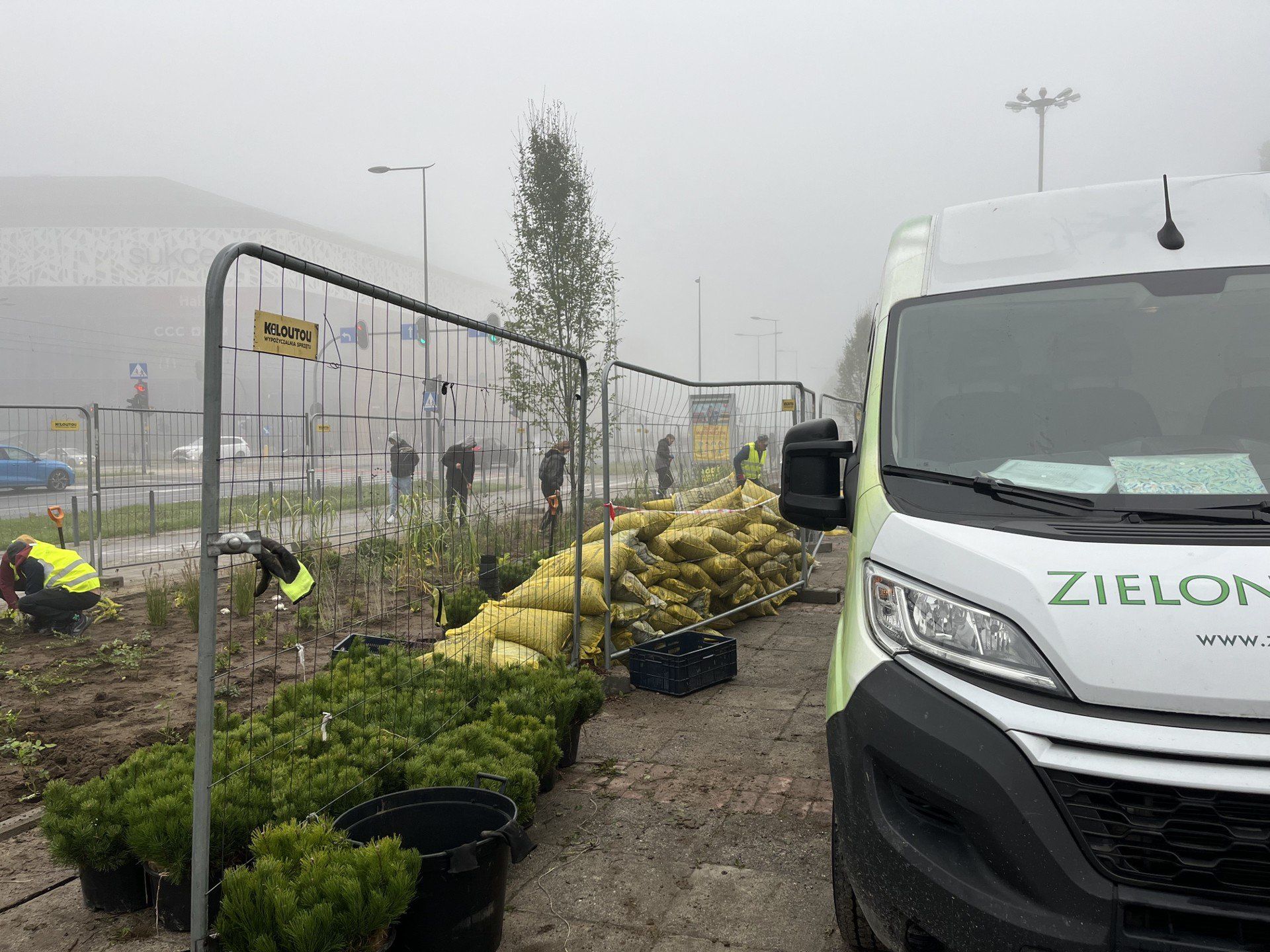 Koniec z betonozą? Nowe drzewka przed Halą EXPO