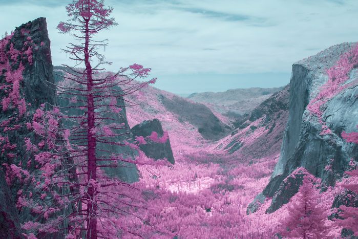 Park narodowy Yosemite wygląda w podczerwieni jak cukierkowa kraina bajek