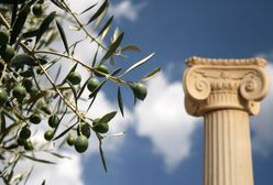 Krótka historia oliwy z oliwek. Boski dar Ateny