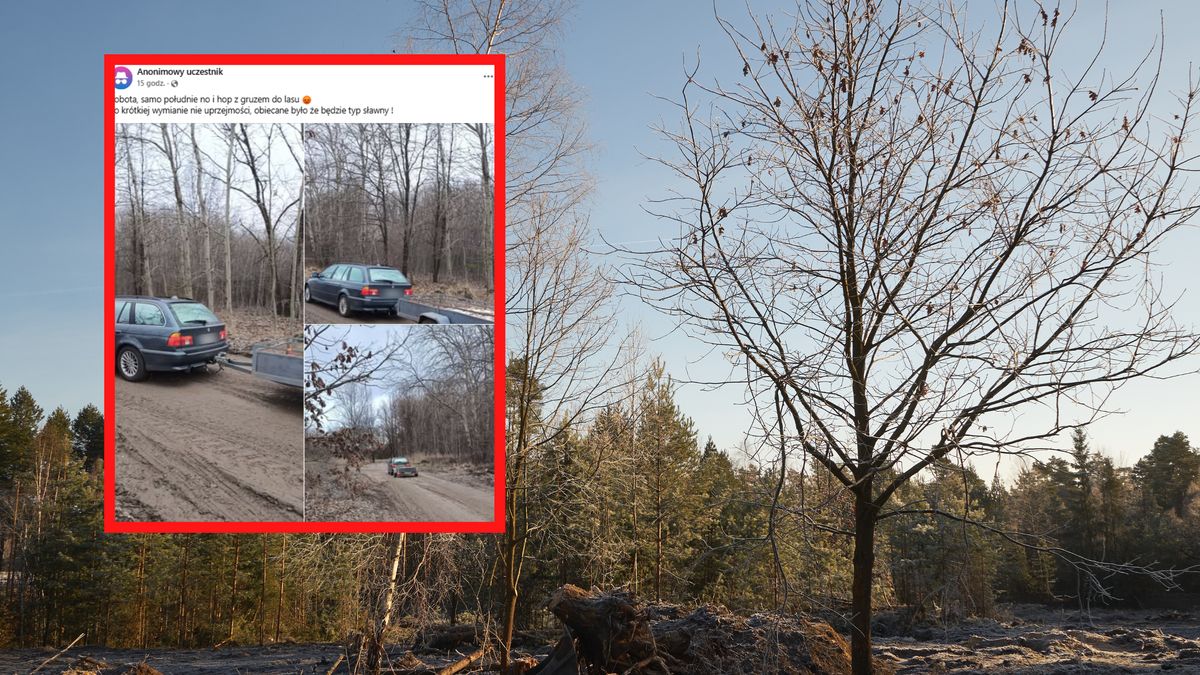 Skandaliczne sceny w Markach.