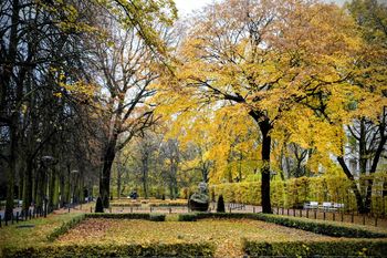 Poznań: Tak przepięknie wygląda Park Wilsona