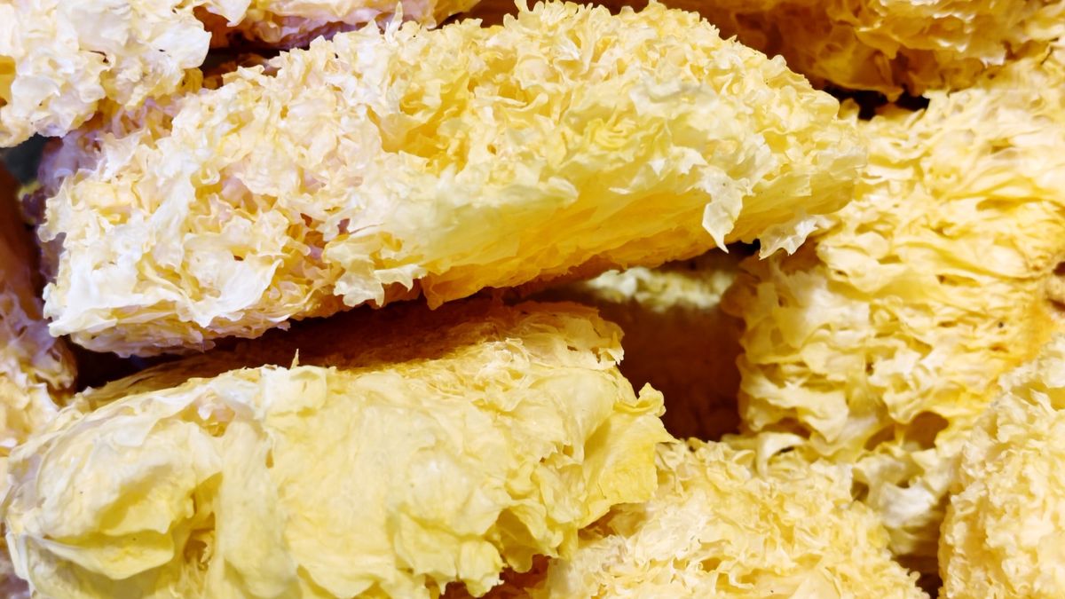 Tremella to grzyb piękności