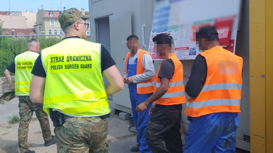 Fot. Licencjodawca