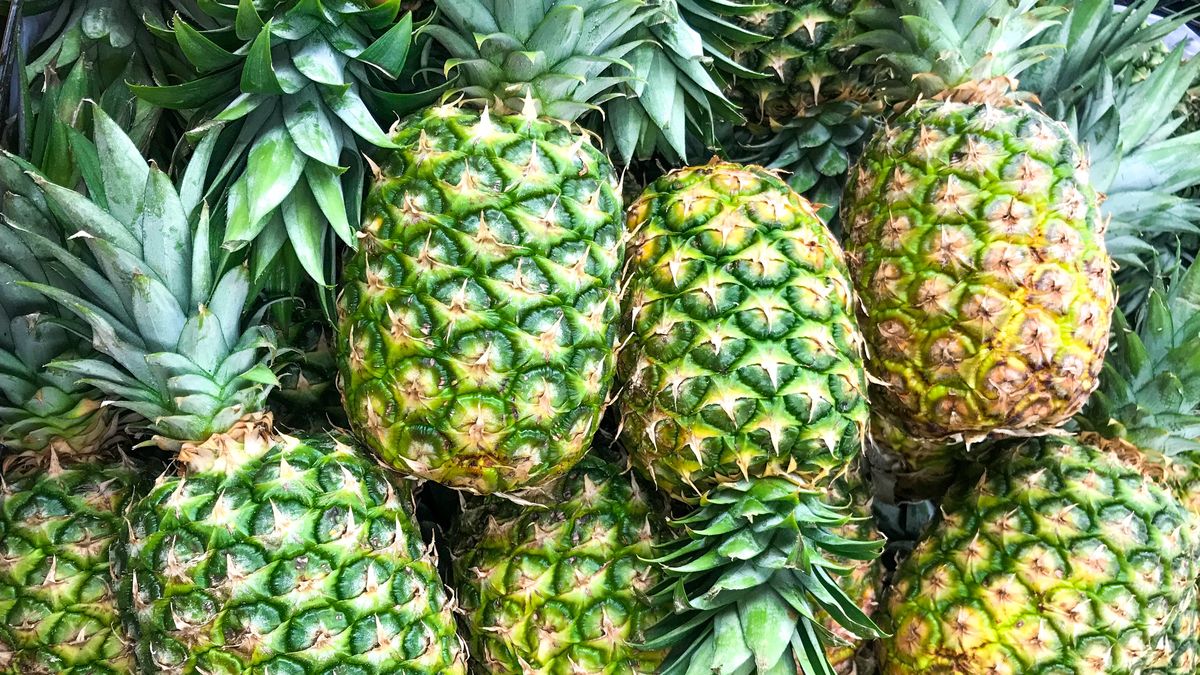 Krzyżówka z wiedzy ogólnej