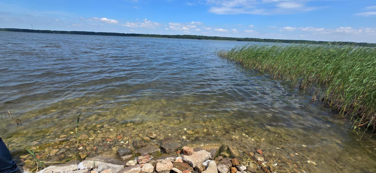 Jezioro Zdworskie 