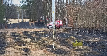 Płonął las w Leśnictwie Nakielno. Do akcji ruszył Dromader i liczne siły straży pożarnej