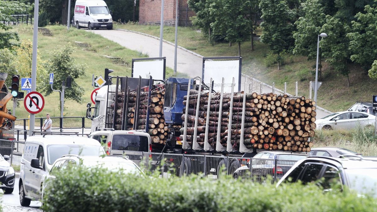 Ograniczyli, ale nie zakazali. Tak Tusk realizuje obietnicę ws. drewna