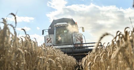 Kombajny wracają z pól. Żniwa niedosytu dobiegają końca
