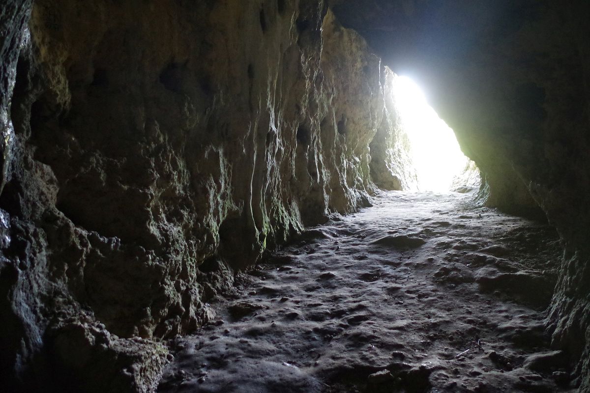W jaskini Stajnia znaleziono najstarsze w Polsce szczątki neandertalczyka 