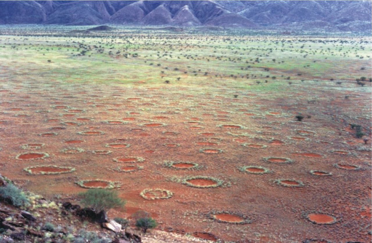 "Baśniowe kręgi" w Namibii