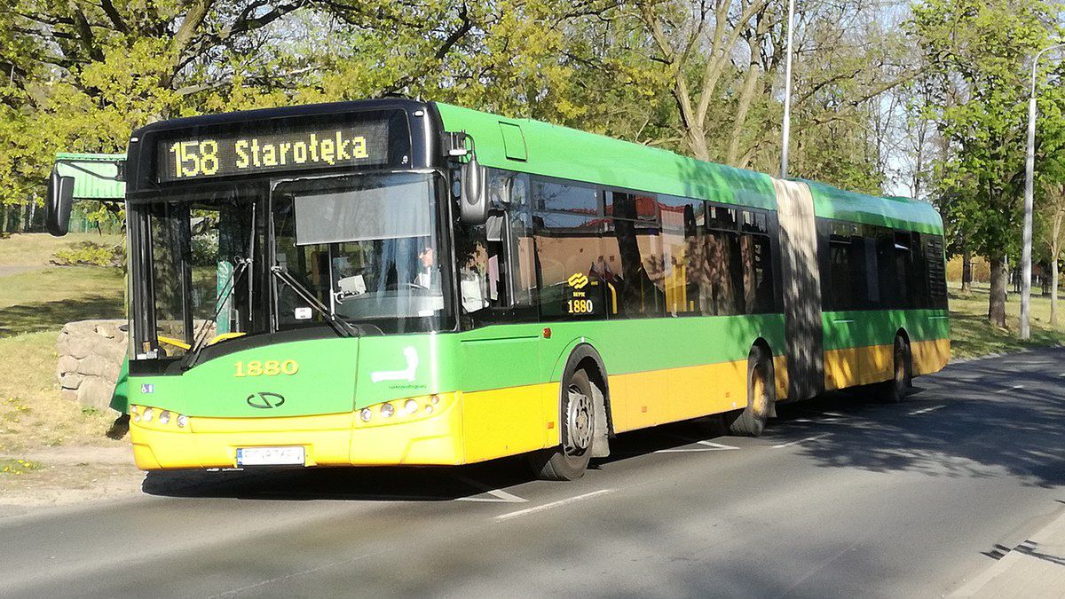 MPK ma dość uciążliwego pasażera (zdjęcie ilustracyjne)