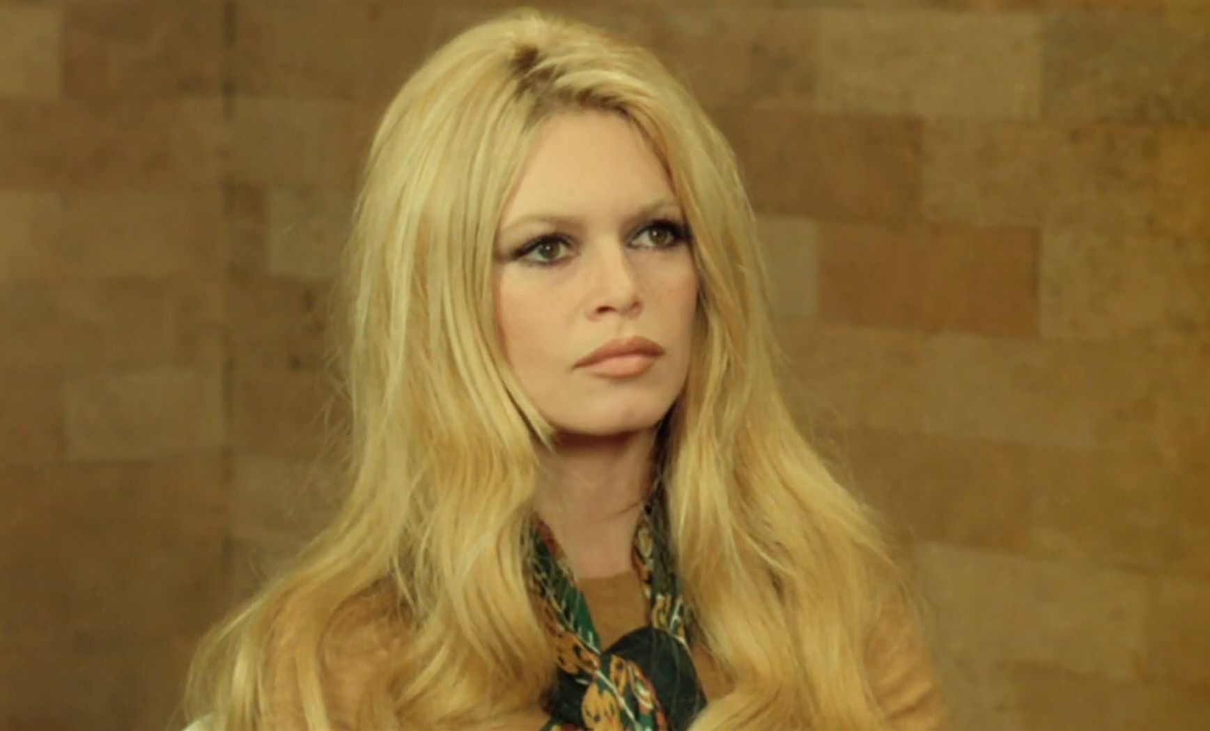 Brigitte Bardot w przeszłości
