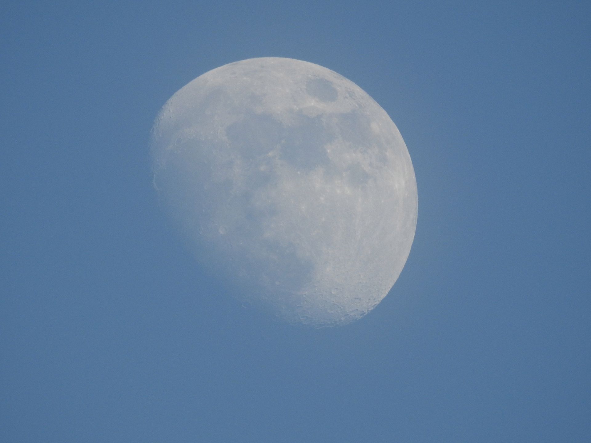 Nikon Coolpix P900 - podręczny superzoom z ogniskową 2000 mm [test] 33