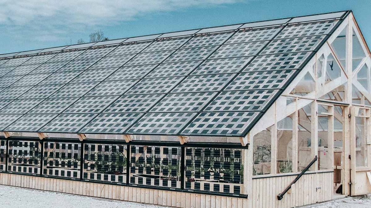 Przezroczyste panele fotowoltaiczne