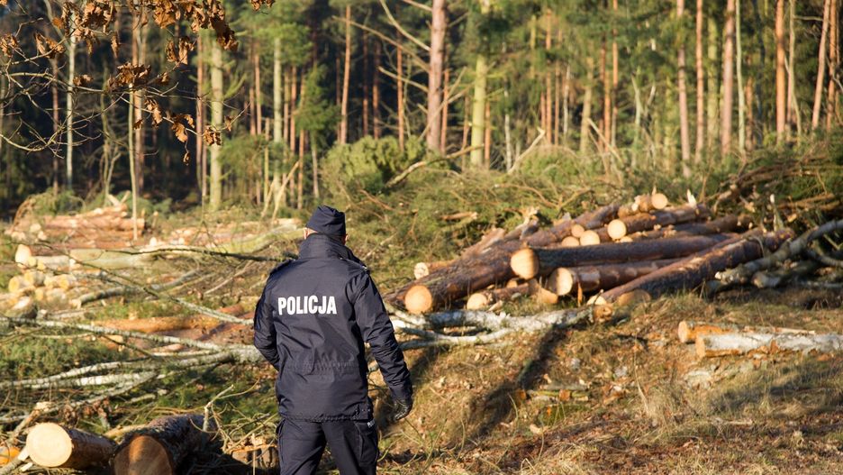 Środa Wielkopolska. Znaleziono ciało policjantki i jej 9-letniego syna. Sprawę bada prokuratura