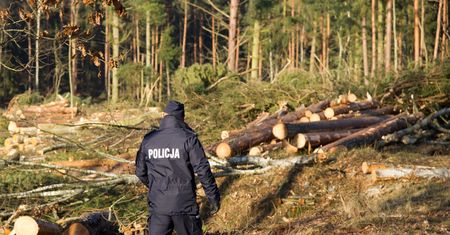 Środa Wielkopolska. Nie żyje policjantka jej i 9-letni syn. Najnowsze informacje