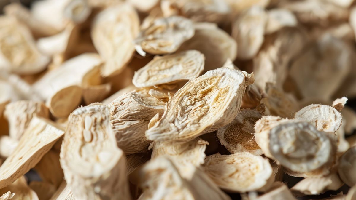 Korzeń traganka. Dlaczego warto go pić