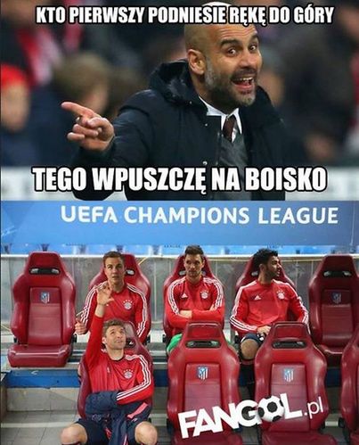 Fot. fangol.pl