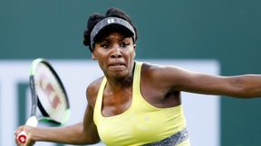 WTA Miami: trudny mecz Andżeliki Kerber, Swietłana Kuzniecowa kontra Venus Williams w IV rundzie