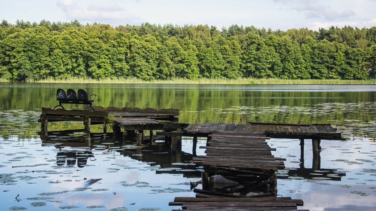 Harcerz uton?? w jeziorze w Wielkopolsce
Fot. NewsLubuski/East News, Wilcze, 24.07.2025. 15-letni harcerz ZHR okregu dolnoslaskiego utonal w jeziorze Wuszno w miejscowosci Wilcze (powiat wolsztynski). Do tragedii doszlo w srodku nocy. Chlopak zniknal pod woda w trakcie proby harcerskiej, ktora polegala na przeplynieniu jeziora wplaw. N/z miejsce, gdzie najprawdopodobniej harcerz wszedl do wody, znajduje sie najblizej obozowiska
NewsLubuski