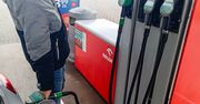 Nowe ceny paliw. Znów taniej. Wystarczy spojrzeć na diesla
