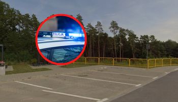 Psy atakowały i uciekały. Prokuratura ujawnia po tragedii przy S3