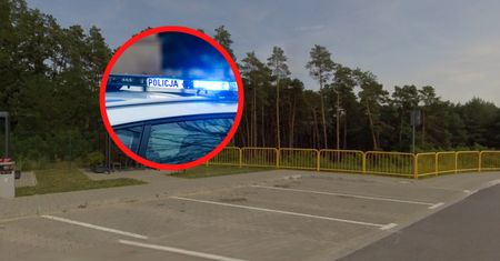 Psy atakowały i uciekały. Prokuratura ujawnia po tragedii przy S3