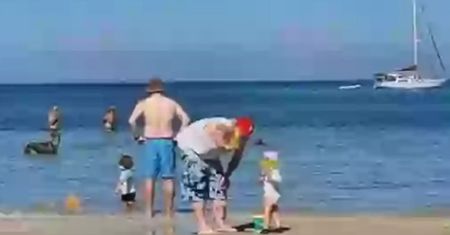 Horror w tle sielanki. Plażowicze z Australii o niczym nie mieli pojęcia