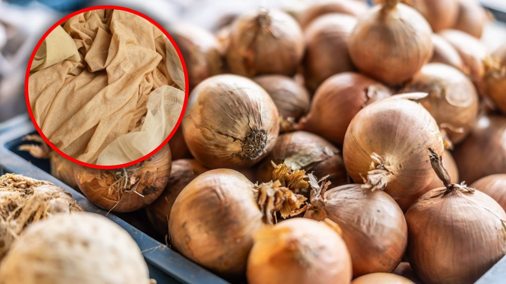 Jak przechowywać cebulę?