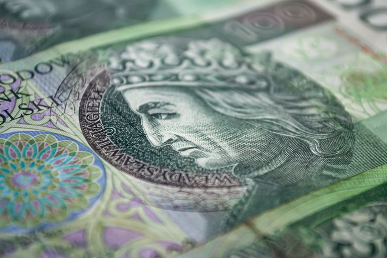 One hundred zloty banknotes. Narodowy Bank Polski. Closeup photo
One hundred zloty banknotes. Narodowy Bank Polski. Closeup photo
Maksym Kapliuk
money, background, pln, hundred, closeup, 100, one, polski, zlotowka, stowka