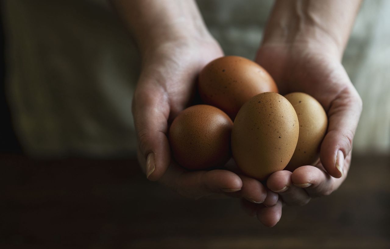 Ile kalorii ma jajko? Poznaj wartości odżywcze jajka