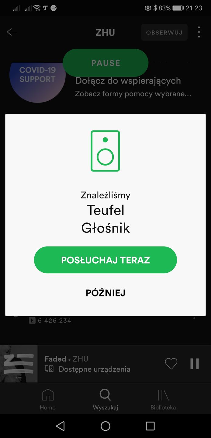 Test głośników Teufel Stereo M: bogactwo możliwości zamknięte w tradycyjnej formie 12