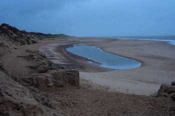 Banany i chipsy na plażach. Nietypowe znaleziska w Anglii