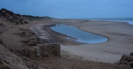 Banany i chipsy na plażach. Nietypowe znaleziska w Anglii