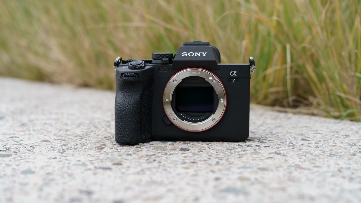 Sony A7 IV: Pierwsze wrażenia i zdjęcia przykładowe [TEST] 1