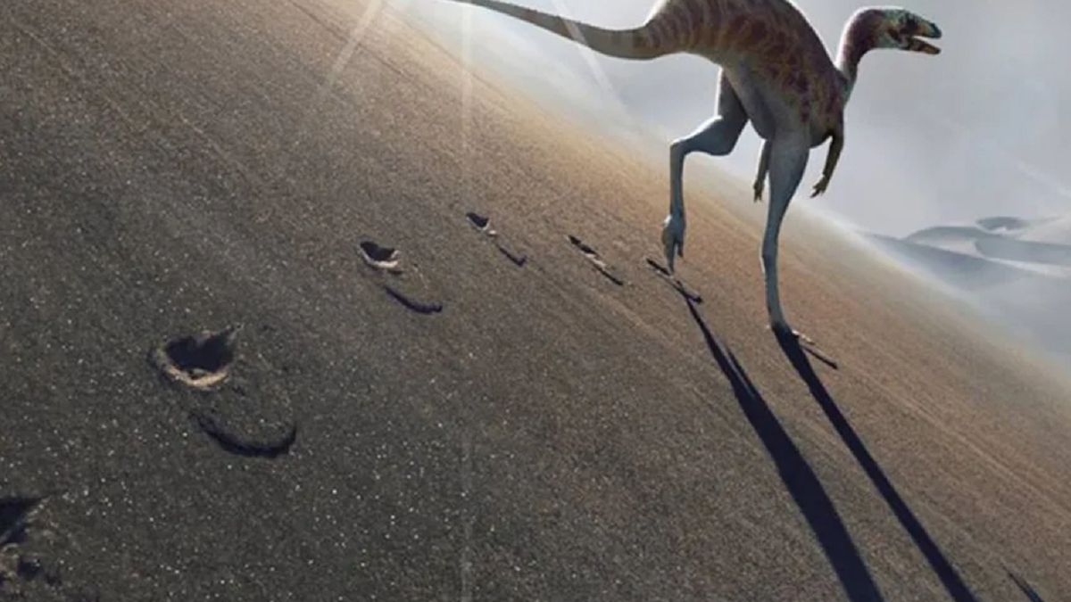 Odkryto ślady nieznanego dotąd dinozaura.