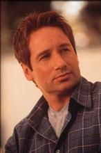 David Duchovny wdzięczny rodzinie